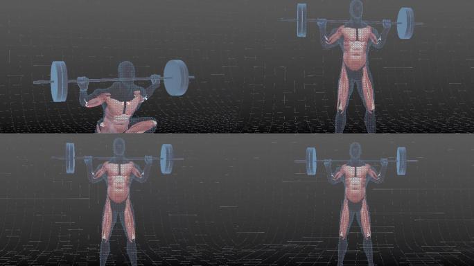 健身举重人体运动3D动画模型