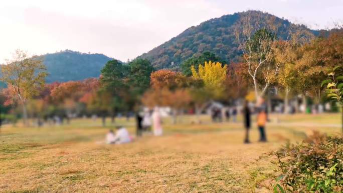 4K景区旅游人流、枫叶、苏州天平山