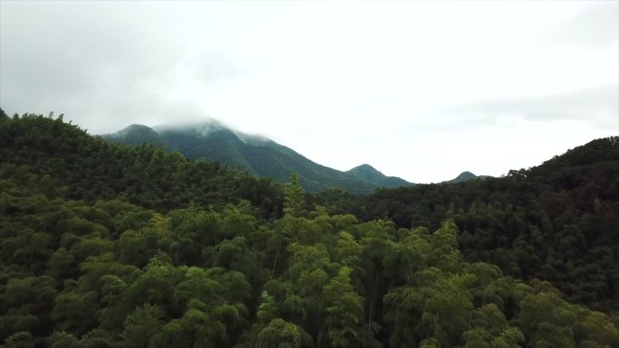 航拍森林云雾氧吧山林仙境