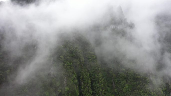 江西羊狮幕武功山云海