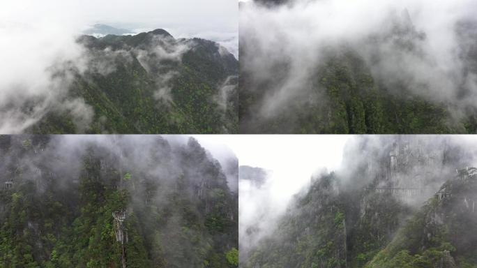 江西羊狮幕武功山云海