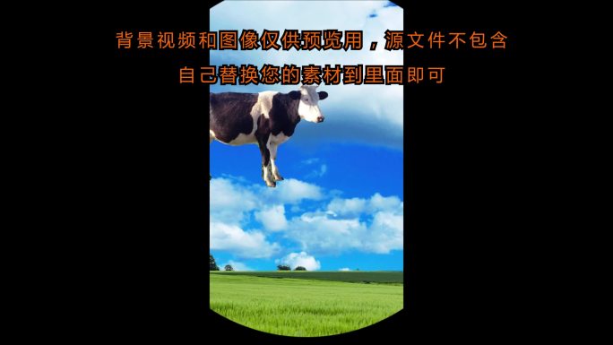 圆形头像视频片尾结束动画AE模板竖版一