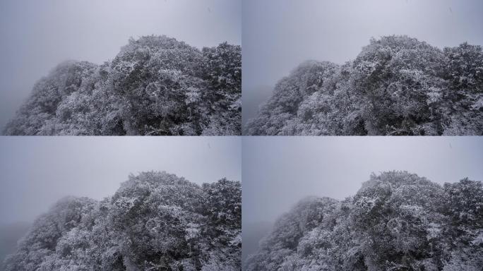 雪山雾凇延迟拍摄