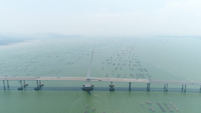深圳深圳湾大桥4K航拍城市