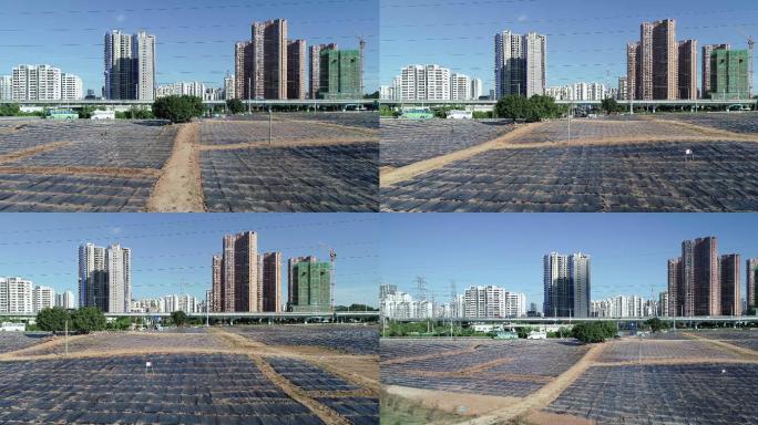【原创4k实拍】城市绿化建设公园苗圃