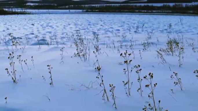 90年代东北雪景寒冬腊月