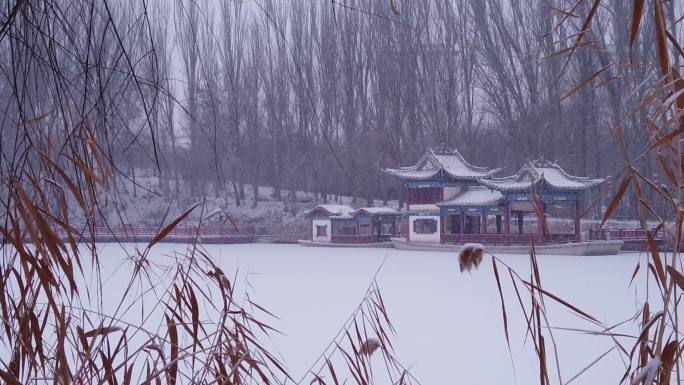 下雪天湖面冰雪古亭慢动作