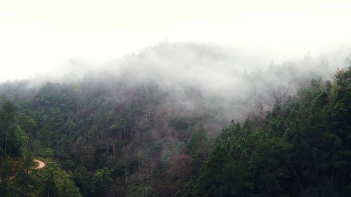 4K航拍大山原始森林云雾弥漫第一部分