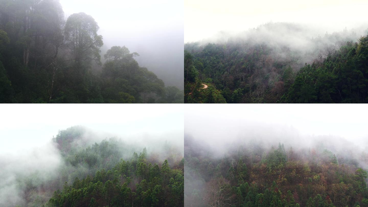 4K航拍大山原始森林云雾弥漫第一部分