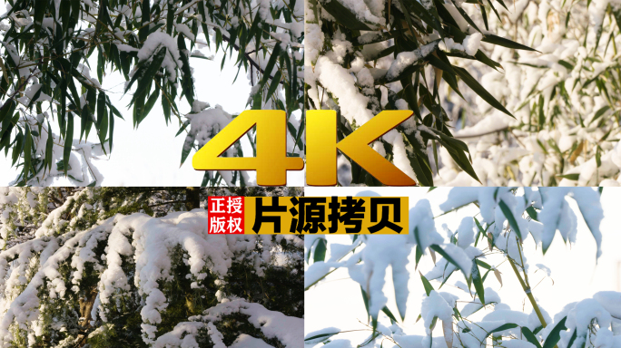 4K索尼拍摄竹子竹塔松冬天景色【灰片】