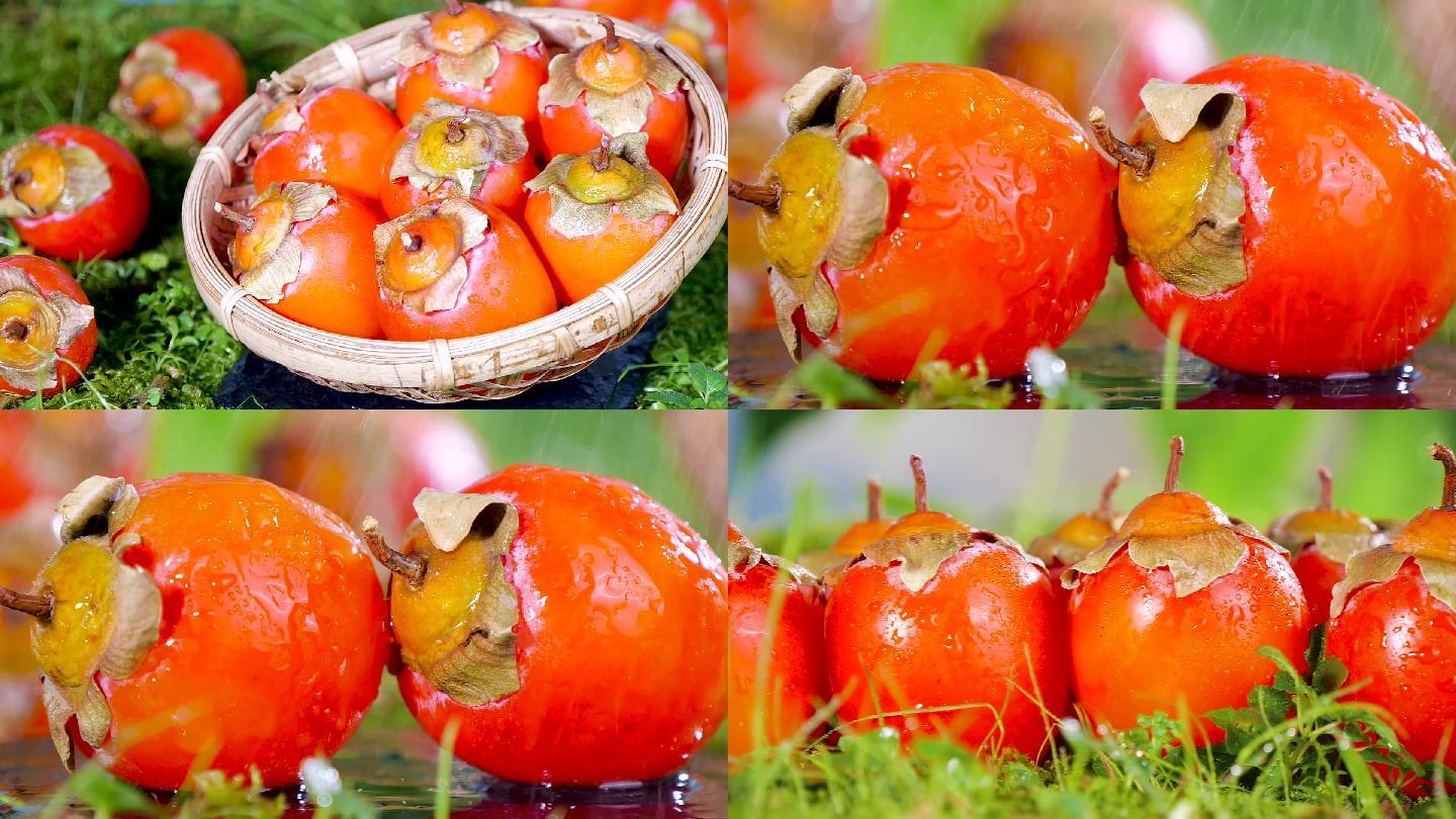珠蜜柿