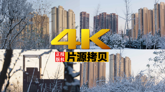 4K索尼FS7实拍冬季楼房销售【灰片】