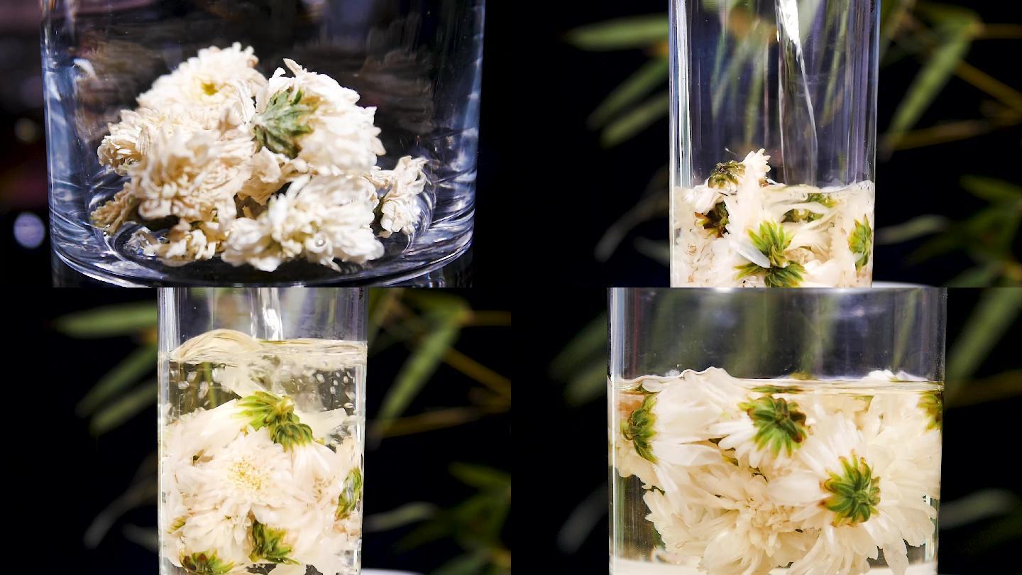 菊花茶 19x1080 高清视频素材下载 编号 526 实拍视频 Vj师网www Vjshi Com 菊花茶 19x1080 高清视频素材下载 编号 526 实拍视频 Vj师网www Vjshi Com