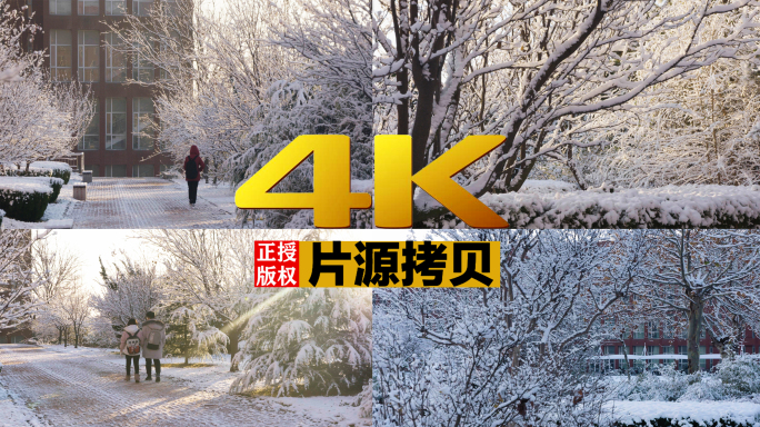 4K冬季庭院雪压枝头景观【灰片】