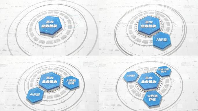 三大分支业务技术信息分类