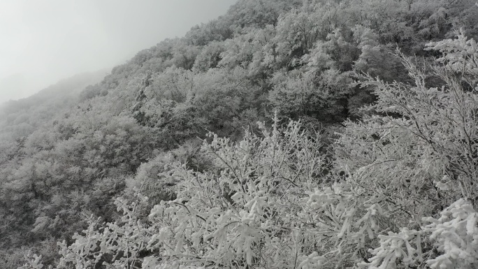 雪景