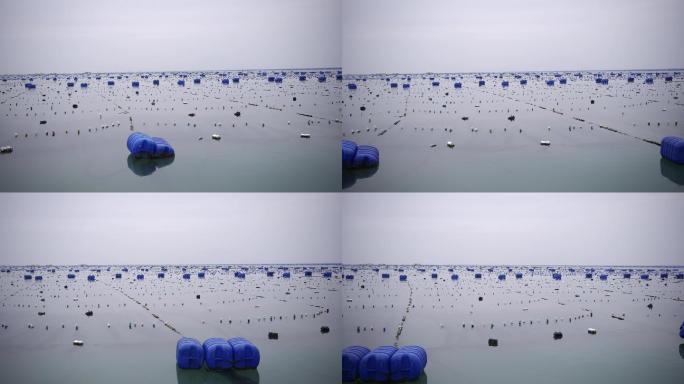 海上浮标海带种植4k素材02