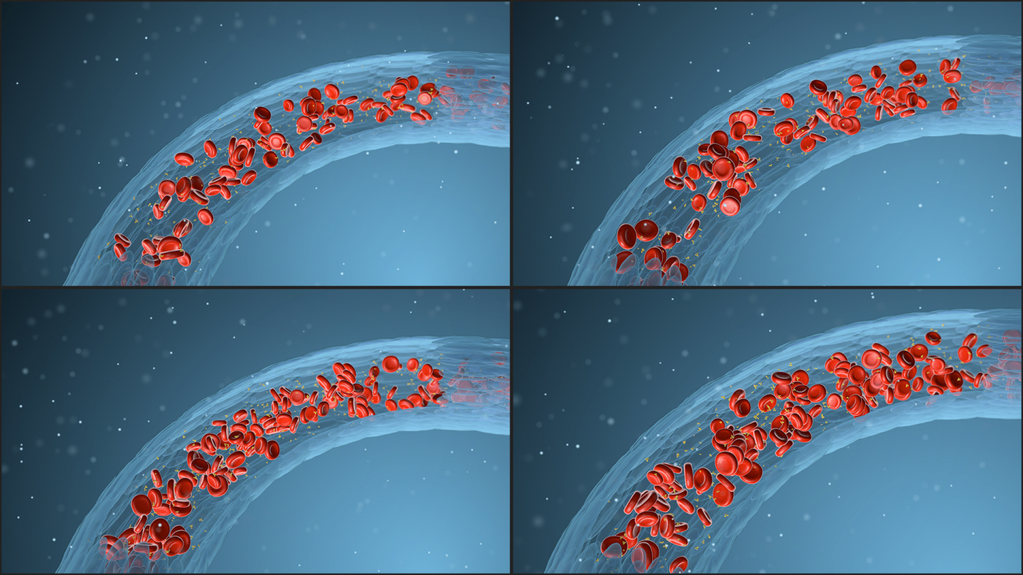 原创血管红细胞血液循环快慢对比动画