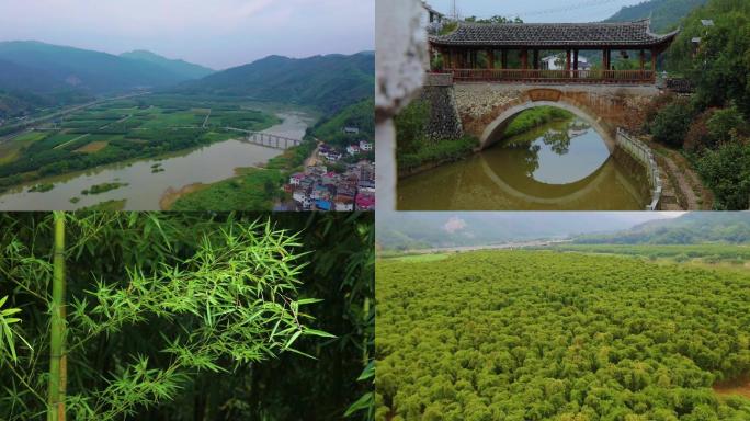 福建闽北山区竹林村落航拍