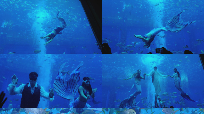 4K海洋馆水族馆海底世界鱼群潜水员美人鱼