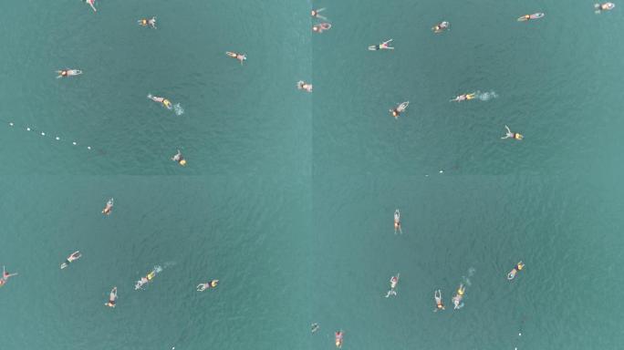 公开水域游泳，游泳比赛，渠首淅川，丹江湖