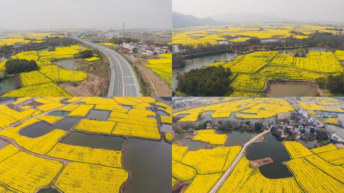 航拍芜湖响水涧大美乡村油菜花稻田视频素材