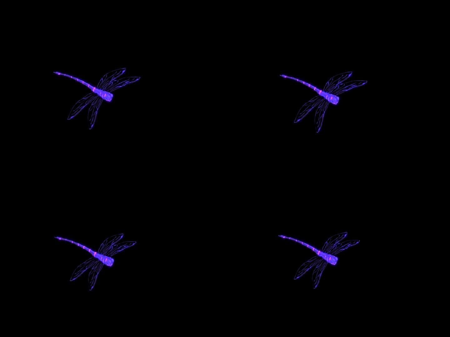 alpha通道单只紫色蜻蜓飞行