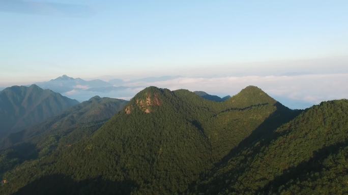 夕阳唯美大气山森林云海日出