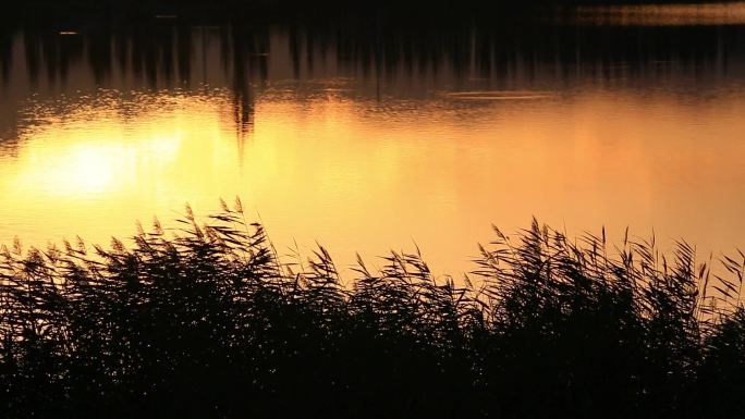 唯美夕阳意境水面晚霞湖泊湿地
