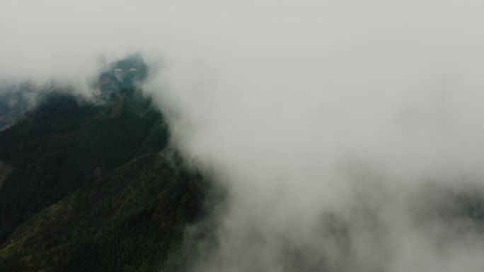 夕阳唯美大气山森林云海日出