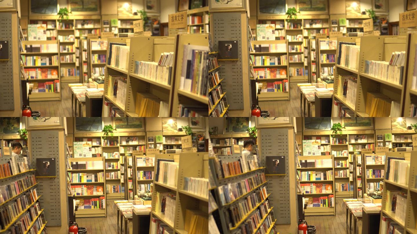 书店书籍书店布局成列