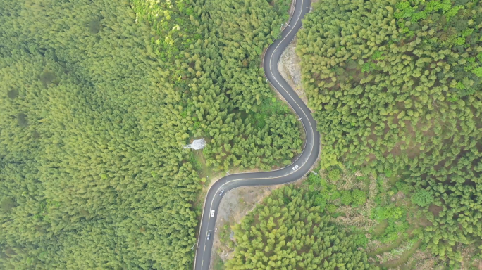 4K航拍安吉竹林 盘山公路行驶的汽车