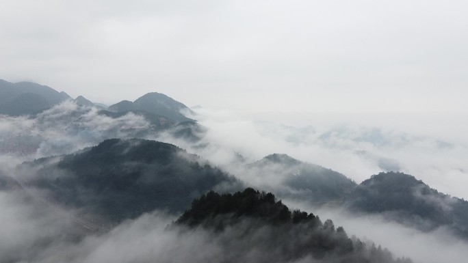 群山森林云雾缭绕