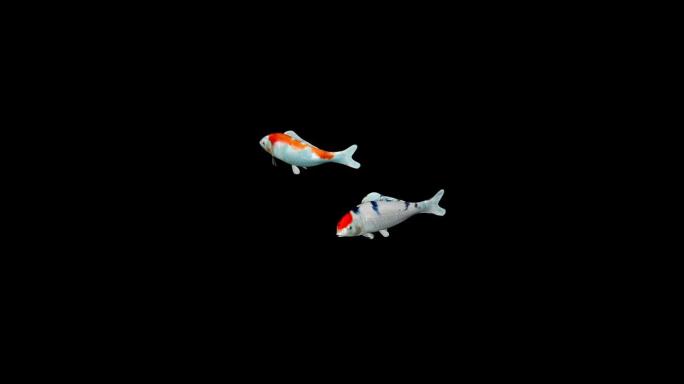 4K鱼游动三维动画（带通道）