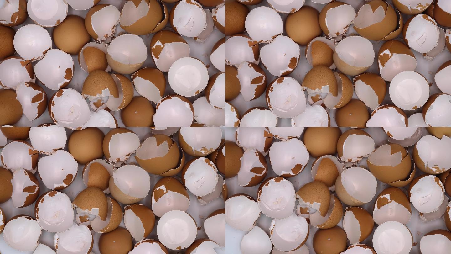 4K成堆破壳鸡蛋壳堆放