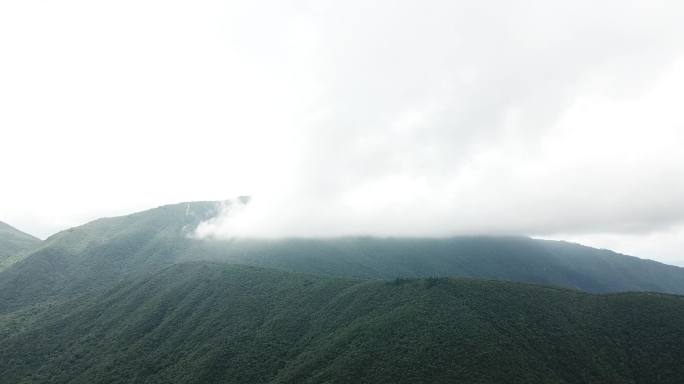 杭州临安天目山——云雾山川4k航拍