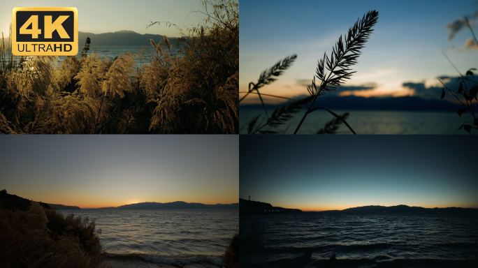 【4K】抚仙湖落日，抚仙湖晚霞，芦苇素材