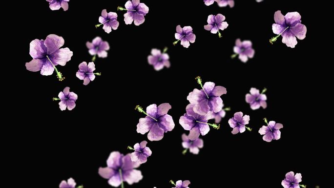 紫花落花