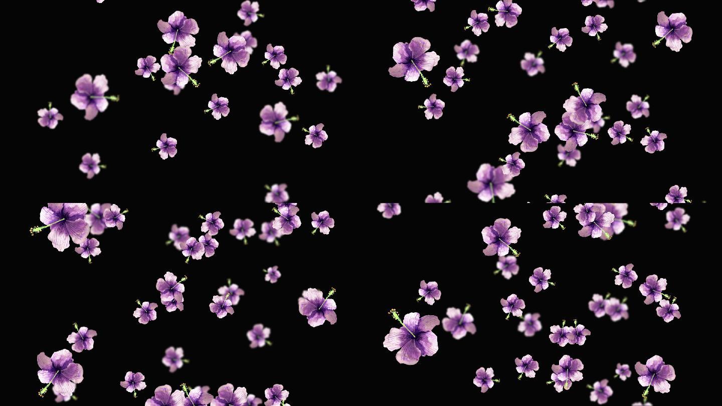 紫花落花