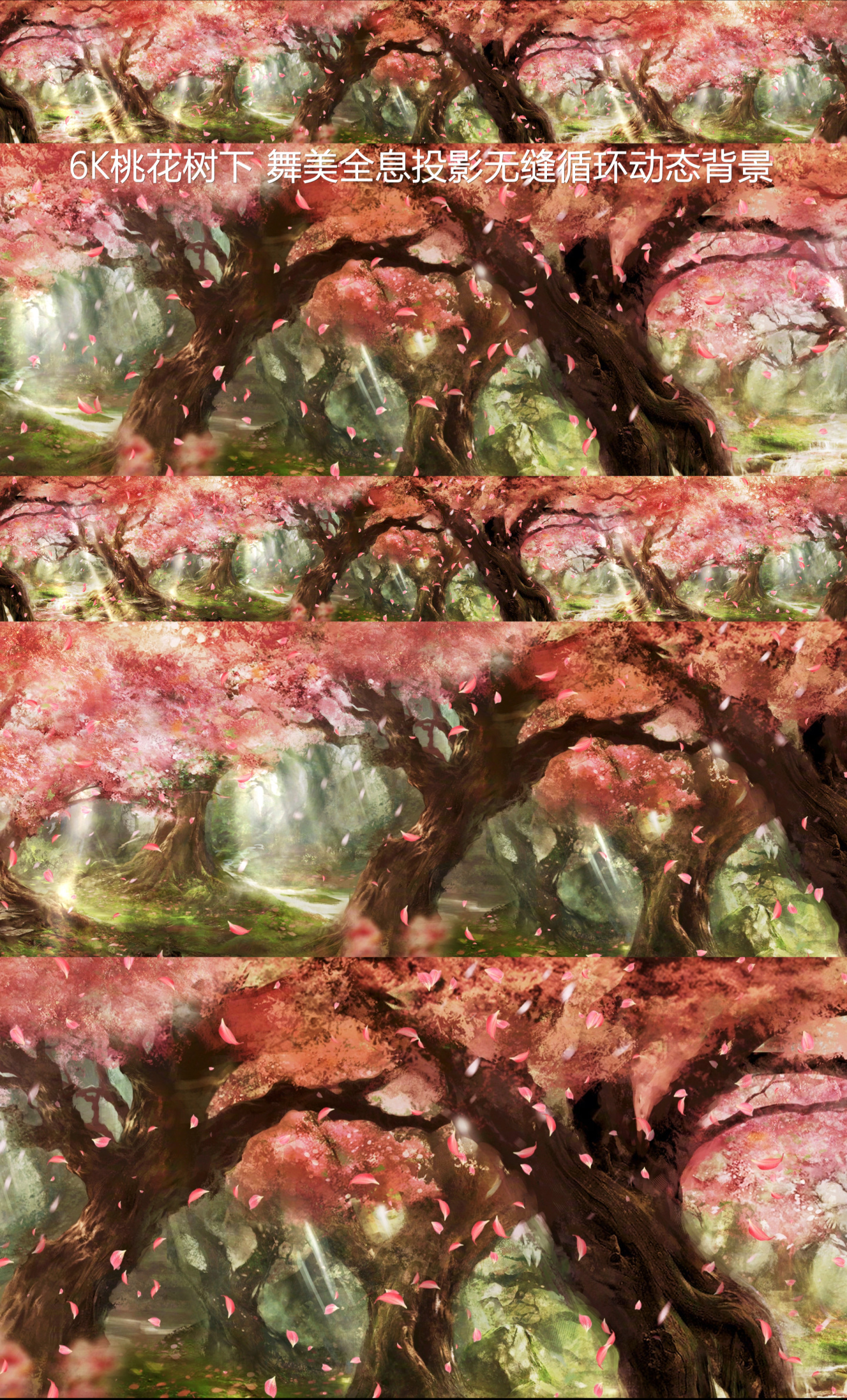 6k桃花源-桃花树下可循环动态背景