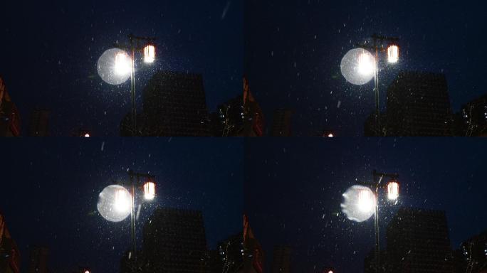 城市路灯下雪花飞舞常规镜头