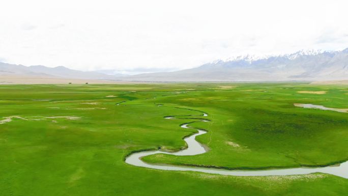 新疆旅游地-塔合曼湿地