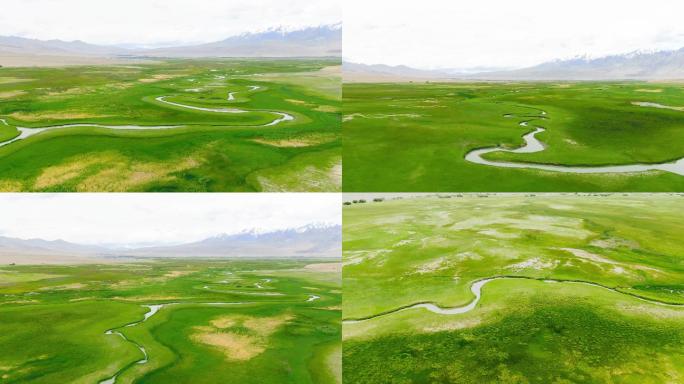 新疆旅游地-塔合曼湿地