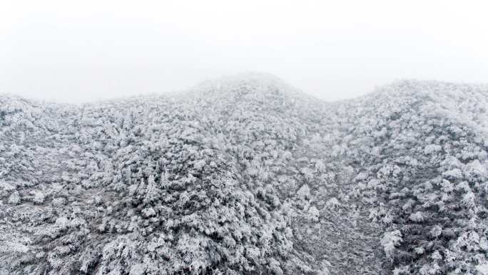 雪景场景下雪天大约在冬季