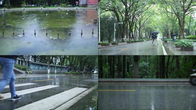 雨季自然唯美清新空镜头素材