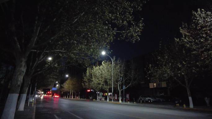 【4K】城市冬天夜晚安静的街道路灯