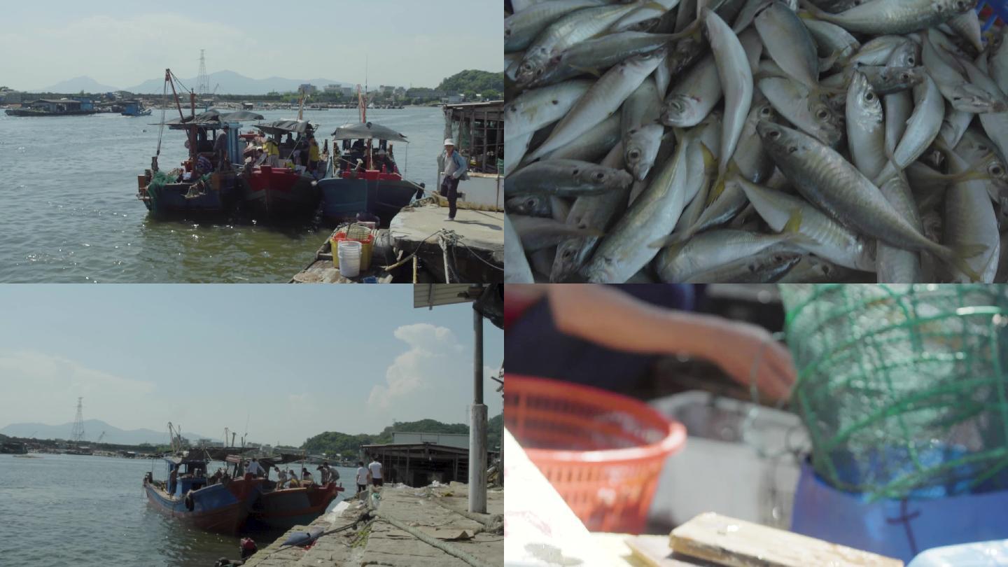 海边渔业码头版权可商用