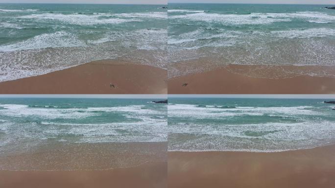 沙滩海浪纹理3