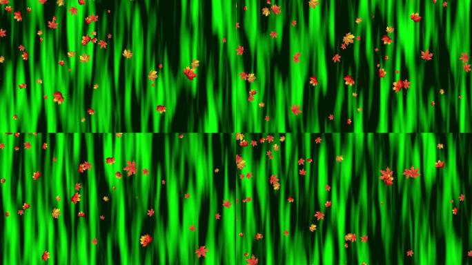 4K绿色幕布枫叶飘扬动画循环-