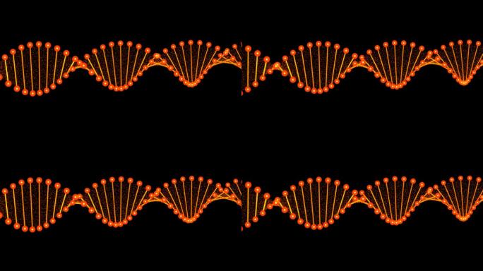 旋转DNA链条带通道